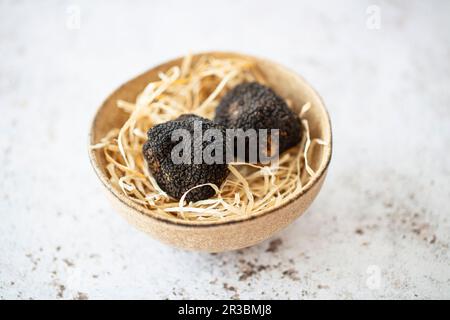 Two black winter truffles from Tuscany (Italy) Stock Photo