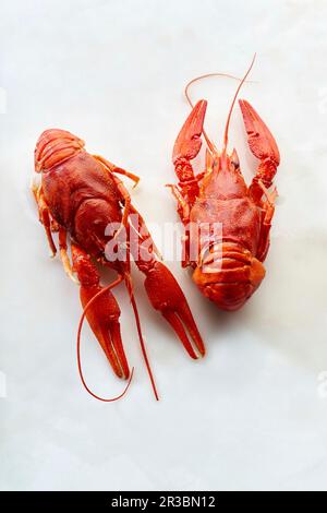 Raw red crayfish on white background Stock Photo