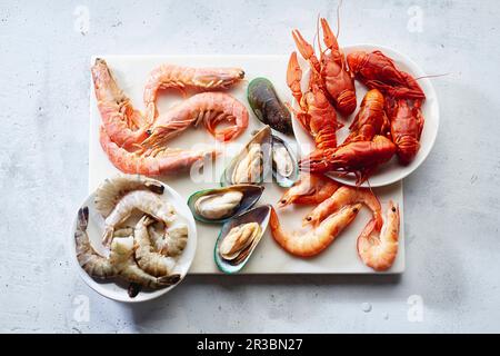 Assortment of various raw seafood - shrimps, kiwi mussels, squid and crawfish Stock Photo