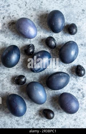 Blue Easter quail and chicken eggs Stock Photo
