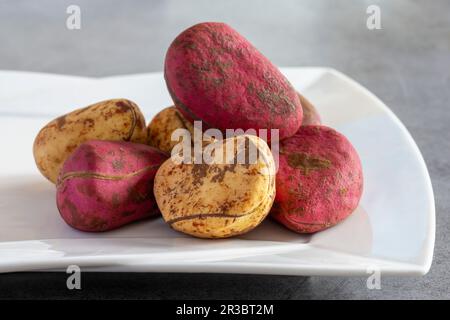 Cola nuts in yellow and red Stock Photo
