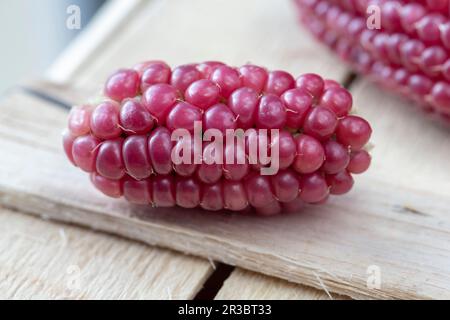 Corn on the cob with red grains (close-up) Stock Photo
