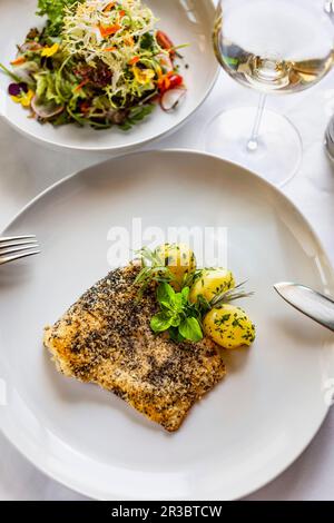 Fried fish in a poppy seed crust with potatoes and mixed salad Stock Photo