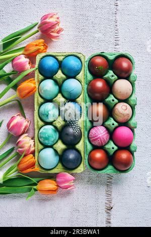 Colorful dyed Easter eggs in blue and red shades Stock Photo