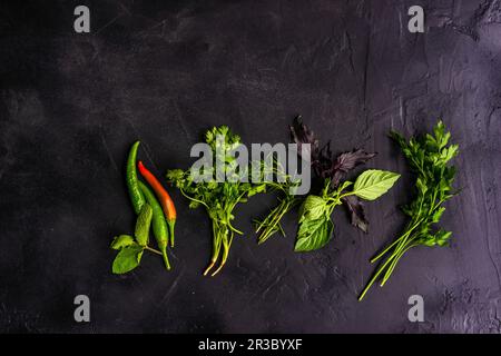 Variety of raw herbs on black concrete background Stock Photo