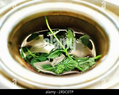 Mint tea brewed in a tea strainer Stock Photo