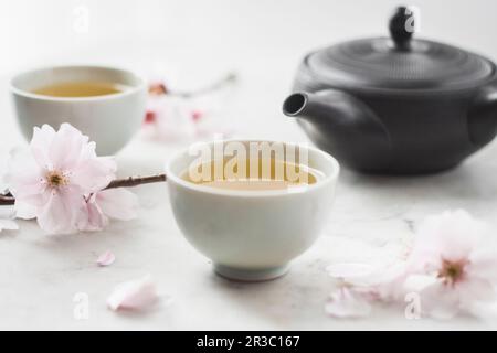 Japanese tea in tea bowls with a teapot and cherry blossoms Stock Photo