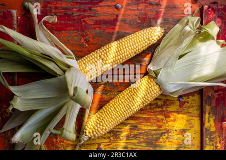 Fresh corn on the cob Stock Photo