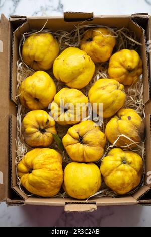 Fresh quinces in a box Stock Photo