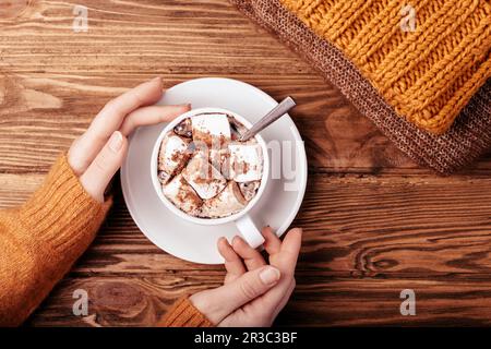 Female hands holding cup with hot chocolate and marshmallow Stock Photo