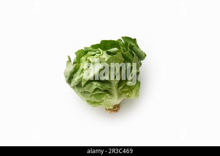 Fresh green salad head isolated on white background Stock Photo