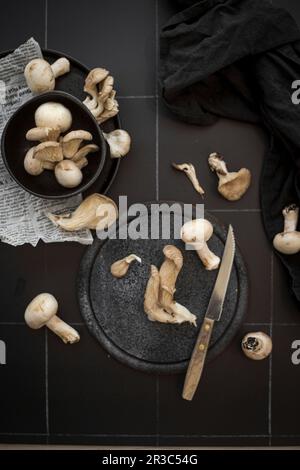 Mixed mushrooms on a black background Stock Photo