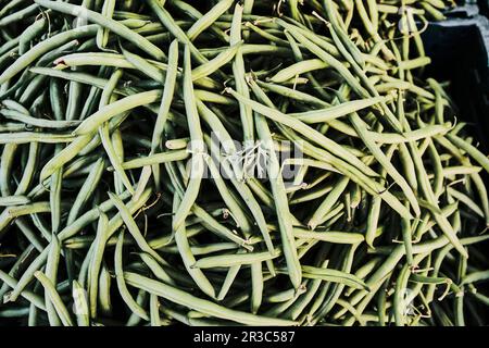 Organic beans from the farmer's market Stock Photo