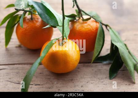 Three mandarin oranges with leaves Stock Photo