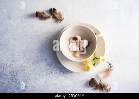 Easter frame concept with daffodils and eggs on concrete background Stock Photo