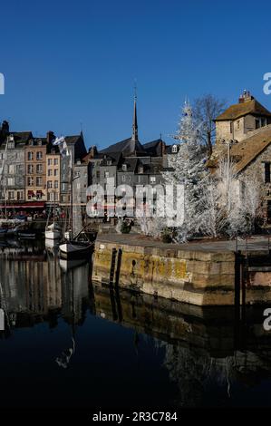 In the historic port of Honfleur in Calvados, Normandy, France, at the entrance to the Vieux Bassin, a white Christmas tree stands sentinel beside the Lieutenance, a group of buildings incorporating the former residence of the King’s Lieutenant.  The Lieutenance also incorporates vestiges of medieval ramparts built to defend Honfleur in the 1200s and 1300s, including remnants of the Porte de Caen, one of the town’s two medieval gateways. The Vieux Bassin was begun in 1668 as a new harbour for Honfleur. Stock Photo