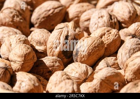 Close up organic whole unopened walnut shells under sun. Unopened walnut shell background. Studio shot of unopened walnut. Stock Photo