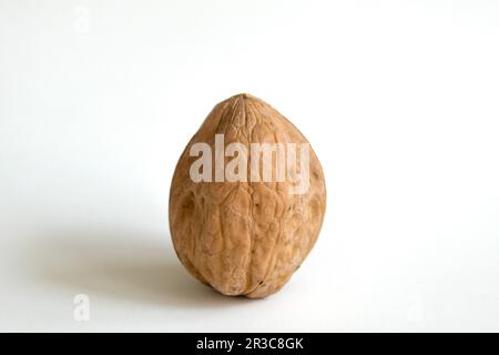 Close up delicious organic unopened walnut with nutshell isolated on a white background. Stock Photo