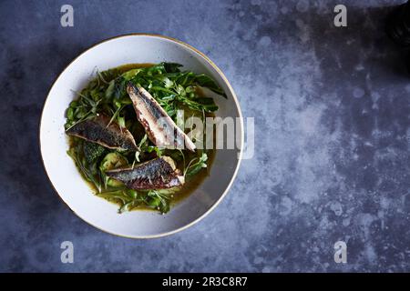 Mackerel fillets on mixed leafy vegetables Stock Photo