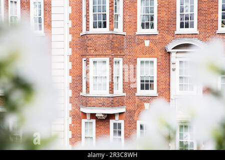 White vintage wooden windows on a restored red brick wall Stock Photo