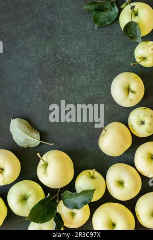 Yellow Green Apples and Leaves on Dark Green Background Stock Photo
