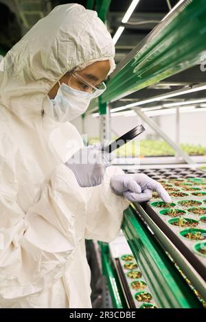 Side view of young female biologist in hazmat suit studying sprouts of garden plants growing in small pots on vertical trusses in hothouse Stock Photo