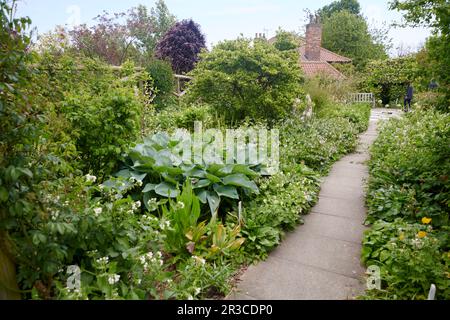 Flower border in an English Elizabethan walled garden Stock Photo - Alamy