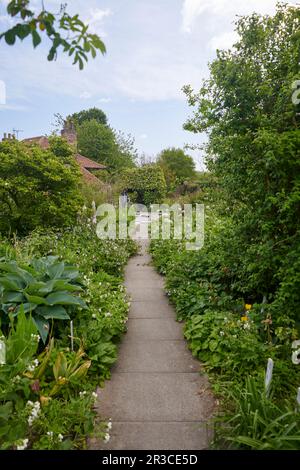 Flower border in an English walled garden Stock Photo - Alamy