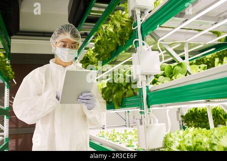 Young biologist in protective coveralls and mask looking through online information about new sorts of leafy vegetables in vertical farm Stock Photo
