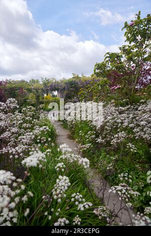 Flower border in an English Elizabethan walled garden Stock Photo - Alamy