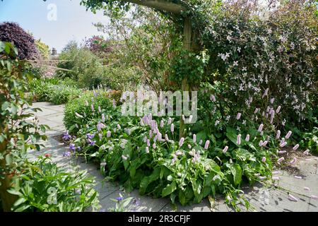 Flower border in an English Elizabethan walled garden Stock Photo - Alamy