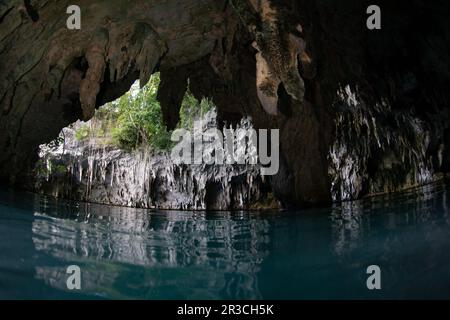 Stalactites hang down from the roof of a collapsed, water-filled cave ...
