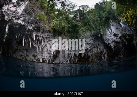Stalactites hang down from the roof of a collapsed, water-filled cave ...