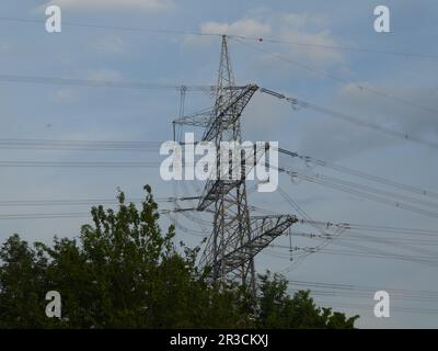 Electricity pylon with power lines and tree in front Stock Photo