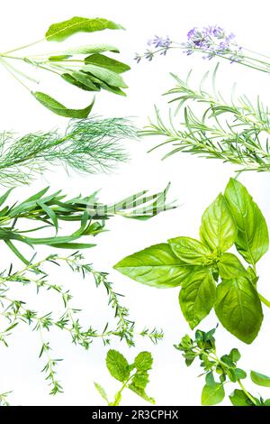 Assortment of fresh aromatic herbs on white background Stock Photo