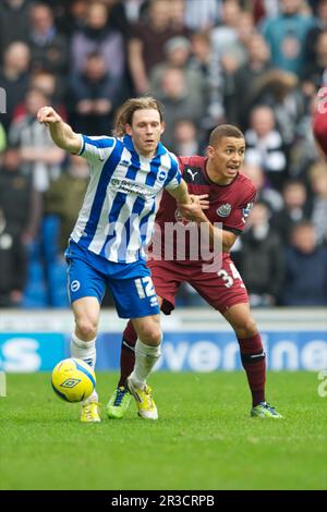 Craig Mackail-Smith of Brighton & Hove Albion (left) tussles with James Tavernier of Newcastle United during the FA Cup 3rd round match between Bright Stock Photo