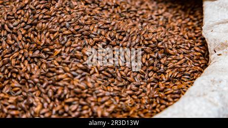 Close-up Dried Dark Black Barley Malt in a sack for brewing beer Stock Photo