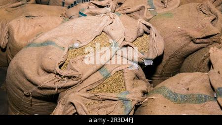 Large bags a raw coffee beans Stock Photo