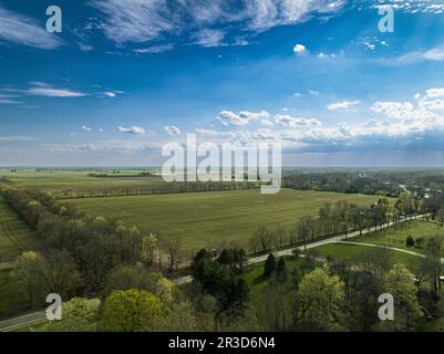 Vibrant tapestry of nature: A bird's-eye view reveals an expanse of lush green fields beneath a vast canopy of endless blue skies. Stock Photo