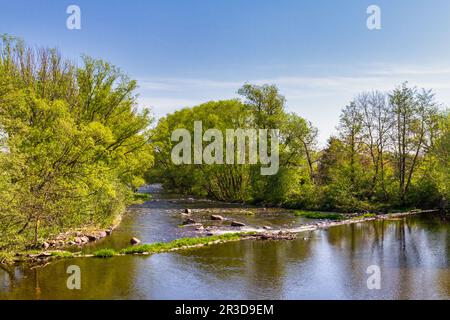 The Bode Valley in the Harz Mountains Stock Photo