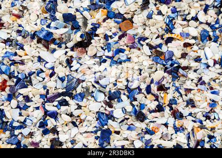 Broken Mussel shells washed up on a beach Stock Photo