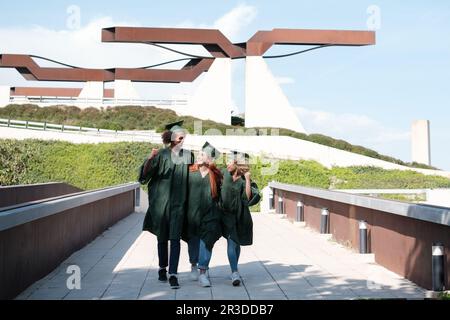 Group of university students with their graduation robes celebrating. Concept: studies, university career, graduation Stock Photo