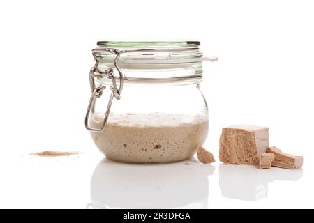 Different types of yeast. Stock Photo