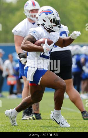 Buffalo Bills linebacker rookie linebacker Nic Harris (54) in action during  training camp at Pittsford, New York. (Credit Image: © Mark  Konezny/Southcreek Global/ZUMApress.com Stock Photo - Alamy