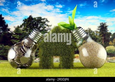 Coins inside the light bulb, plant growing inside the light bulb and miniature house with grass. Green eco renewable energy concept. Electricity price Stock Photo