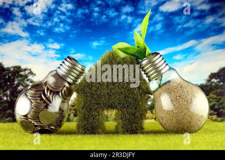 Coins inside the light bulb, plant growing inside the light bulb and miniature house with grass. Green eco renewable energy concept. Electricity price Stock Photo