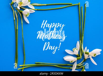Happy Mothers Day lettering greeting card. Spring flowers snowdrop. Best mom ever. Beautiful tender bouquet of flowers. Holiday Stock Photo