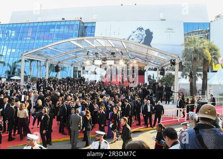 Cannes, France. 22nd May, 2023. The 'Club Zero' red carpet during the 76th annual Cannes film festival at Palais des Festivals on May 22, 2023 in Cannes, France. FRANCE Credit: Sipa USA/Alamy Live News Stock Photo