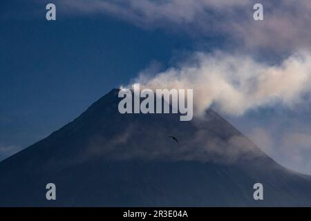 Sleman, Yogyakarta, Indonesia. 23rd May, 2023. Volcanic smoke was seen at the top of Mount Merapi in Sleman, Yogyakarta, Indonesia, on Tuesday, May 23, 2023. The Geological Disaster Technology Research and Development Center (BPPTKG) recorded 26 incandescent lava avalanches with a maximum sliding distance of 2,000 meters to the southwest or to Beben River. (Credit Image: © Slamet Riyadi/ZUMA Press Wire) EDITORIAL USAGE ONLY! Not for Commercial USAGE! Stock Photo