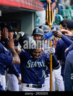 Seattle Mariners' Julio Rodriguez holds a trident in the dugout after  hitting a home run against the Oakland Athletics in a baseball game Monday,  Aug. 28, 2023, in Seattle. (AP Photo/Lindsey Wasson Stock Photo - Alamy